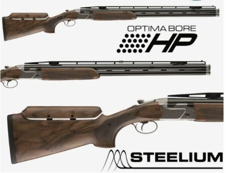 Beretta 694 ACS